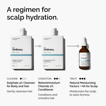 Natural Moisturizing Factors + HA for Scalp